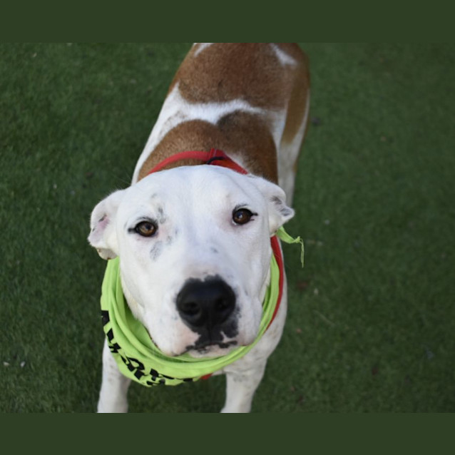 Photo of Tuck