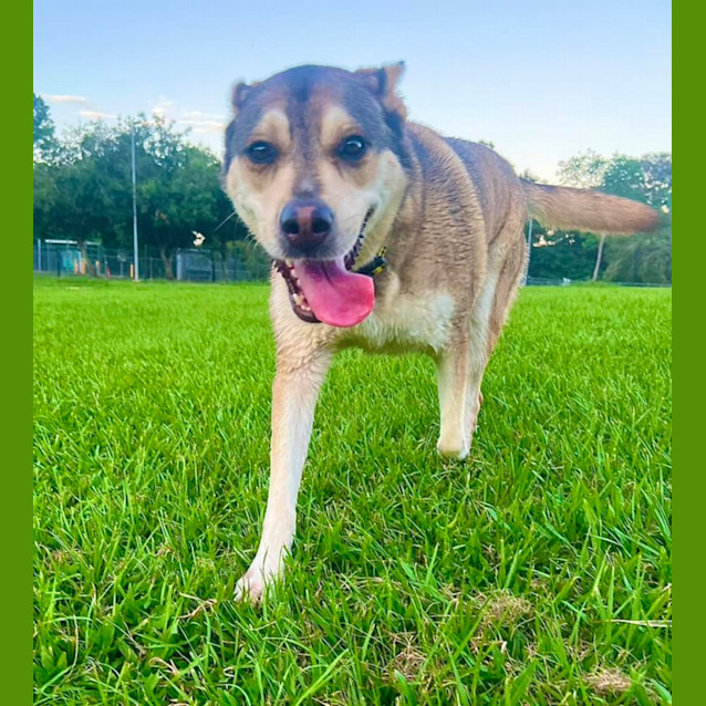 Photo of Remi