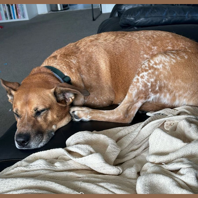 Photo of Gus