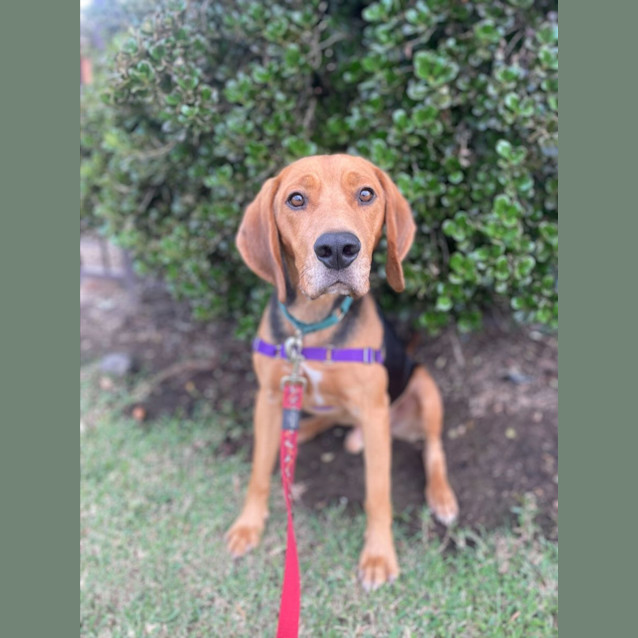 Photo of Kinni