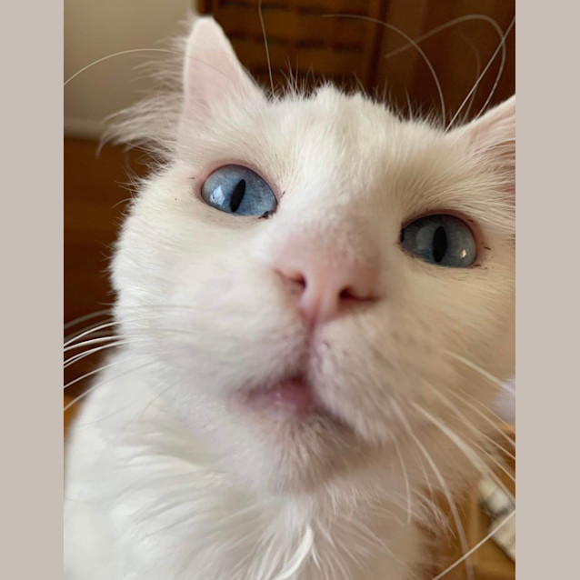 Photo of 🩷 Bianca 🩷