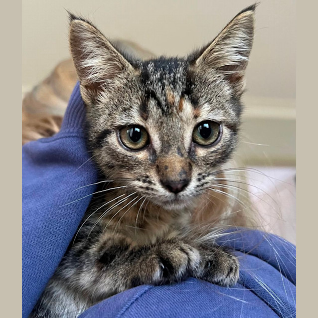 Photo of Ivy
