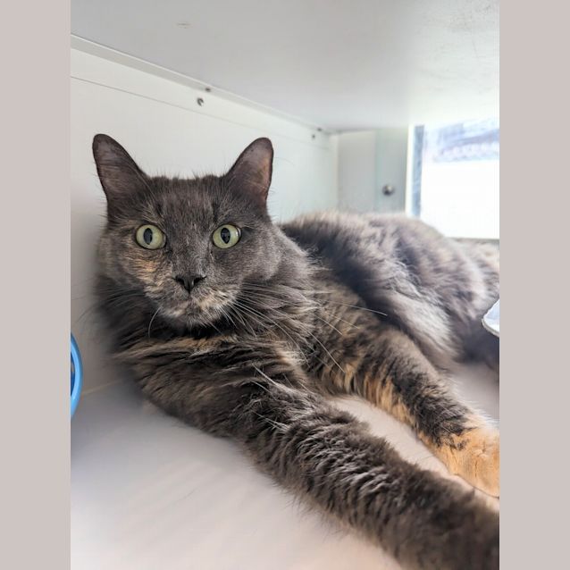 Photo of Greta