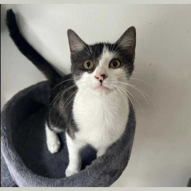 Photo of ❤️ Bundy ❤️