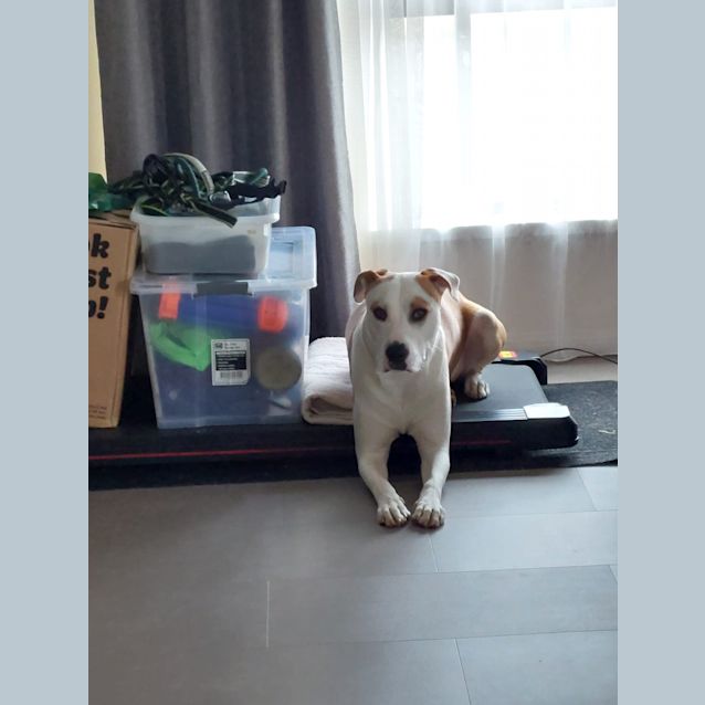 Photo of Bert