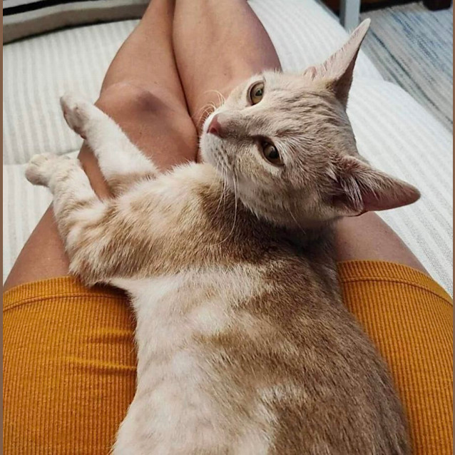 Photo of Peaches & Babs 