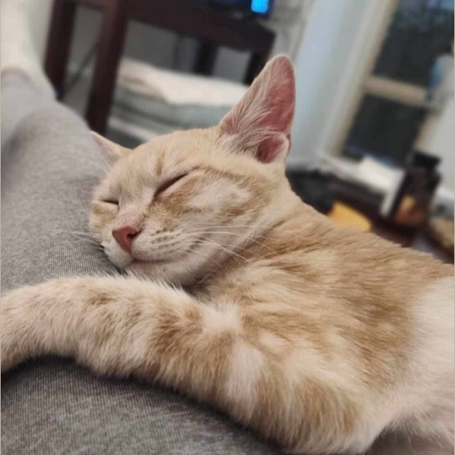 Photo of Peaches & Babs 