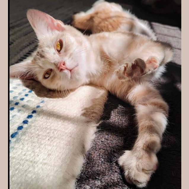 Photo of Peaches & Babs 