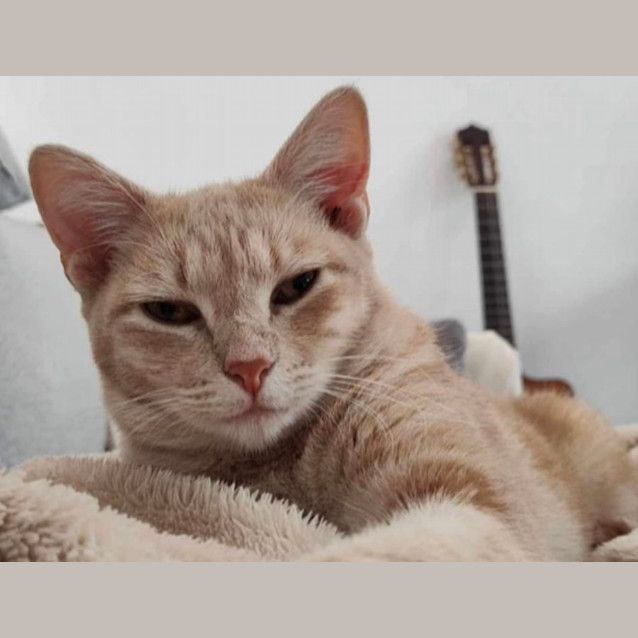 Photo of Peaches & Babs 