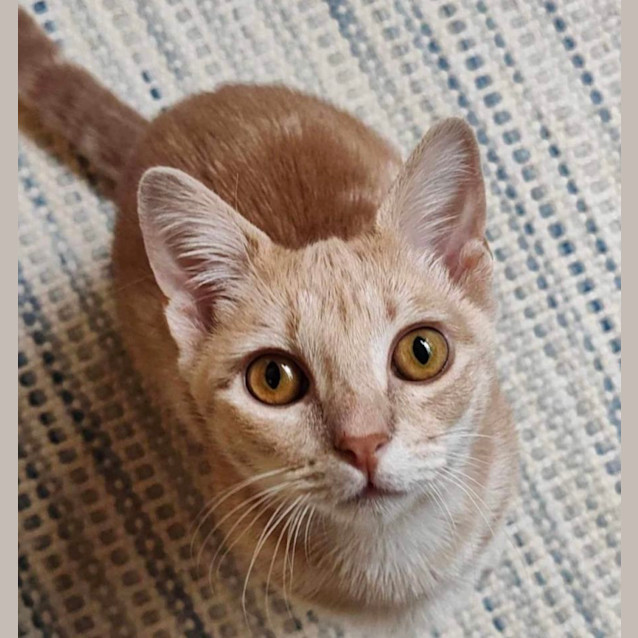 Photo of Peaches & Babs 