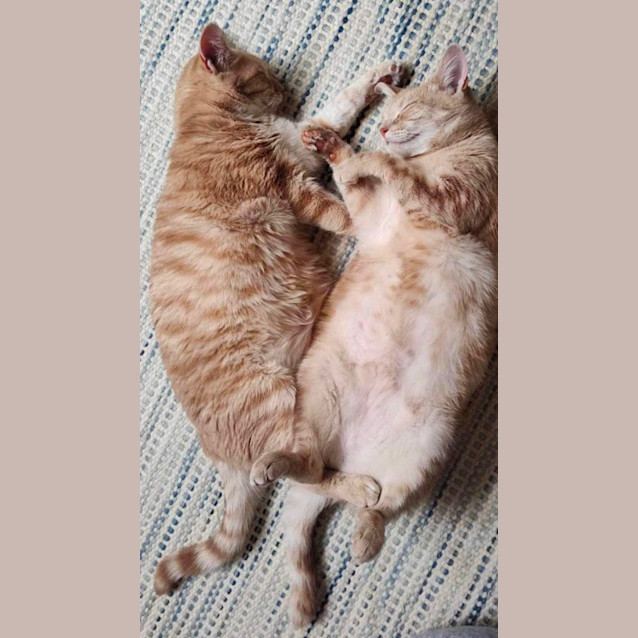 Photo of Peaches & Babs 