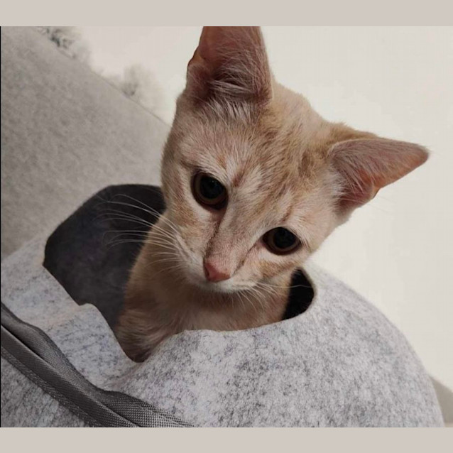 Photo of Peaches & Babs 