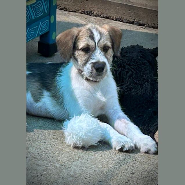 Photo of Harper