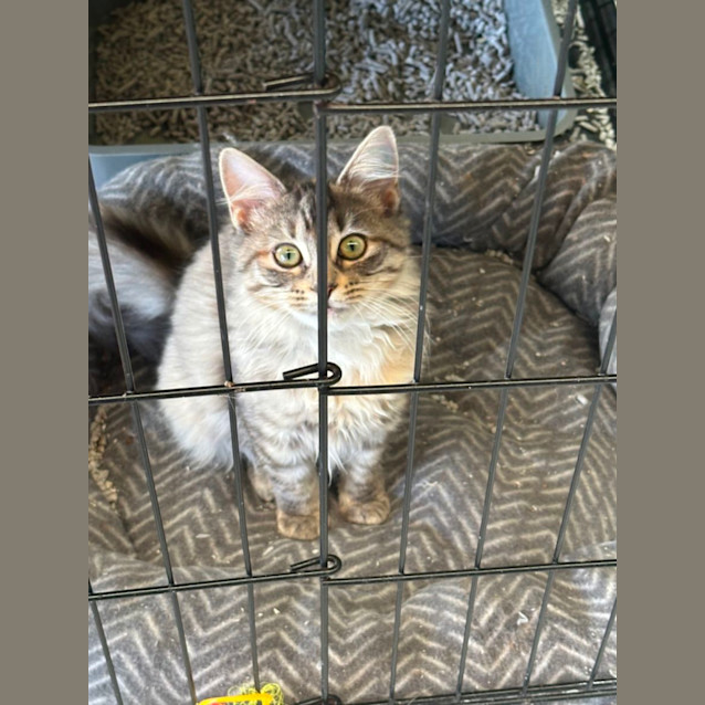 Photo of Kaz 