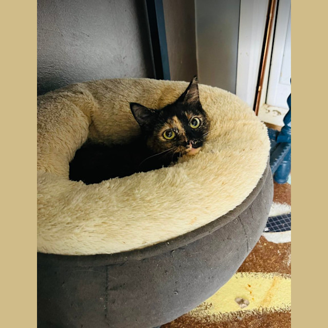 Photo of Lily