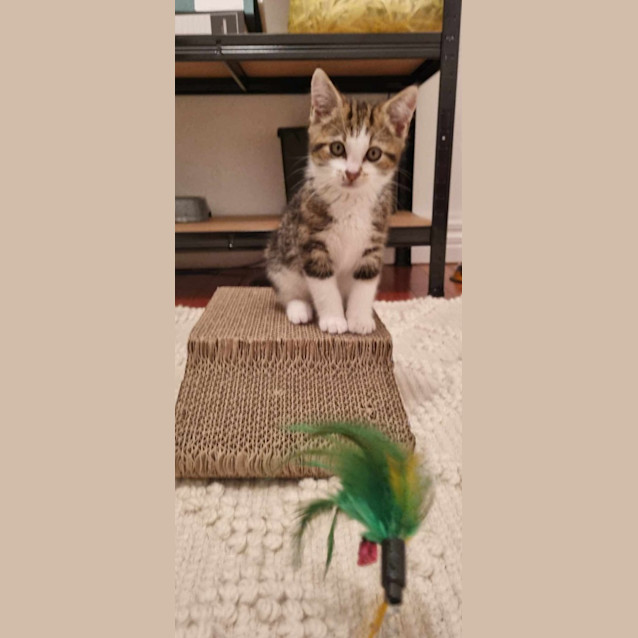 Photo of Hugo