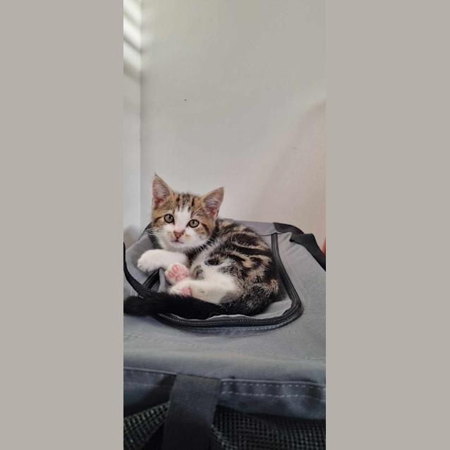 Photo of Hugo