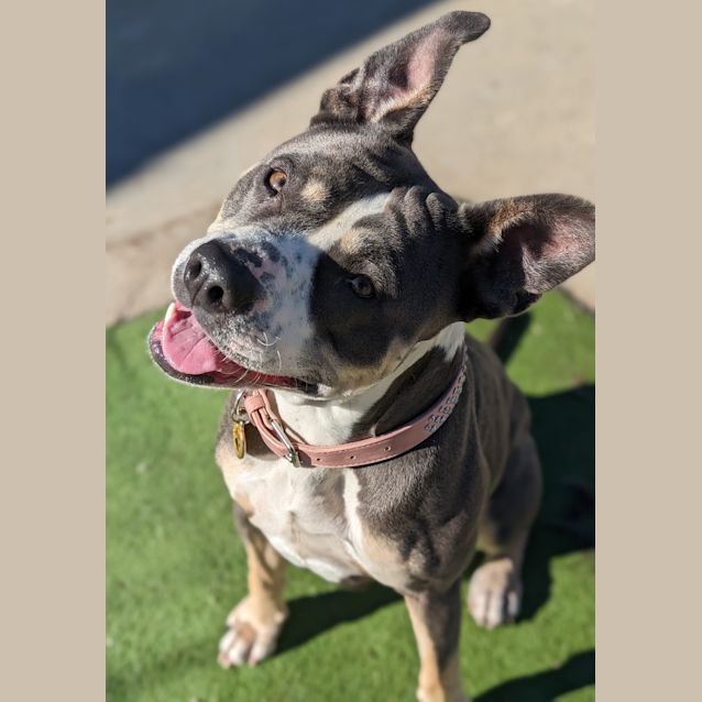 Photo of Winnie
