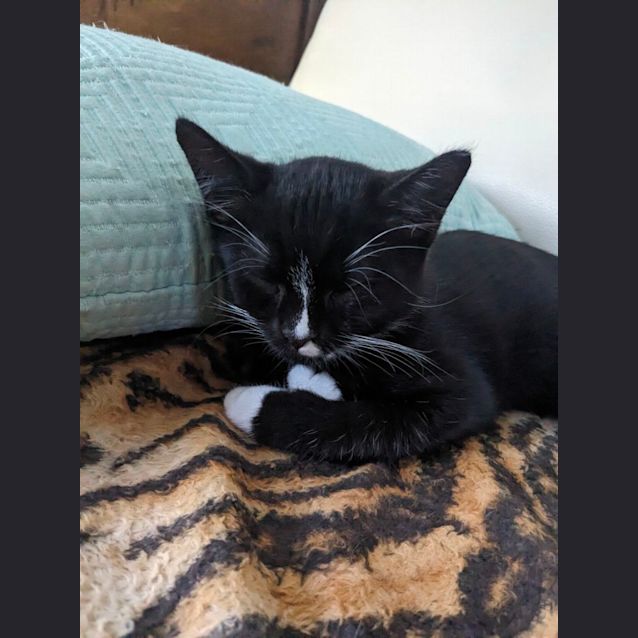 Photo of Luna & Neptune