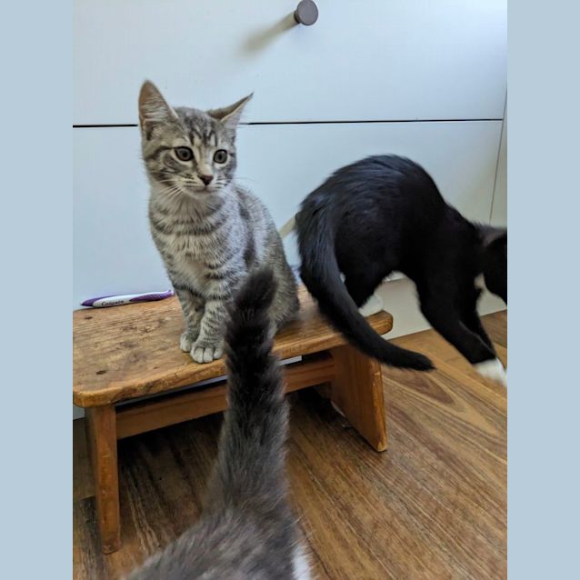 Photo of Luna & Neptune