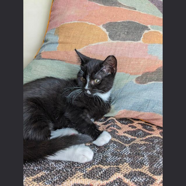 Photo of Luna & Neptune