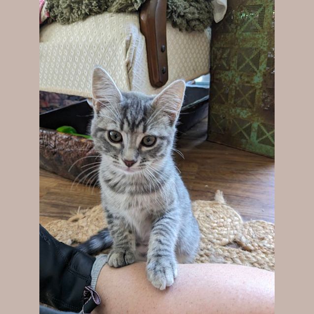 Photo of Luna & Neptune