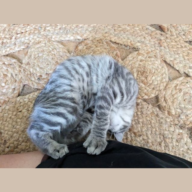 Photo of Luna & Neptune