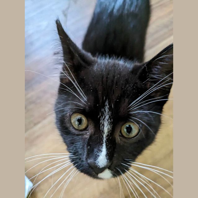 Photo of Luna & Neptune