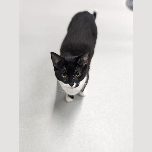 Photo of 🛸 Otis 5064 🛸