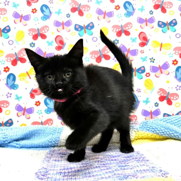 Photo of Audrey   Located In Preston