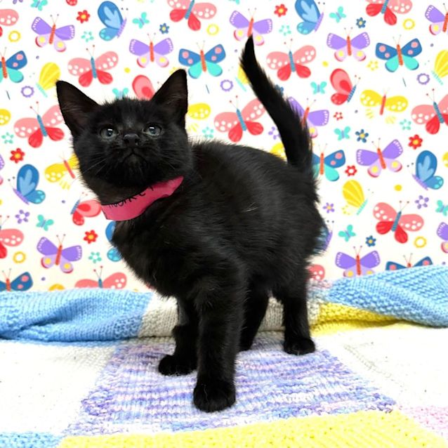 Photo of Audrey   Located In Preston