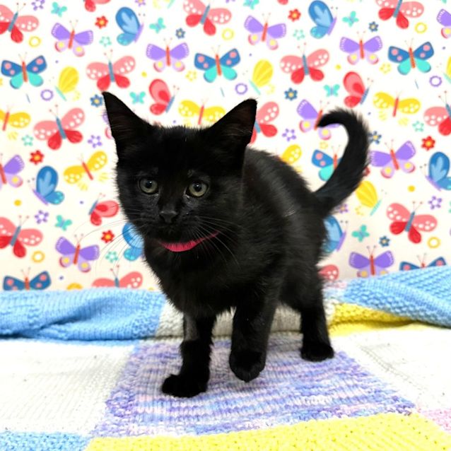 Photo of Audrey   Located In Preston