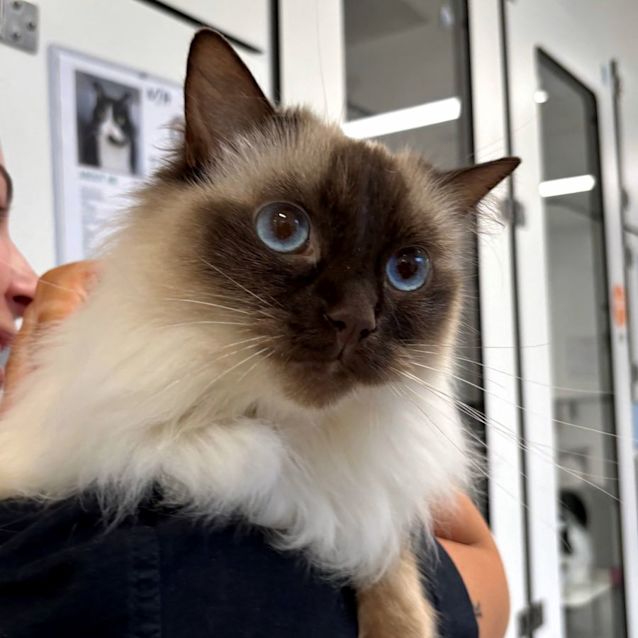 Photo of Doudie Sua012630