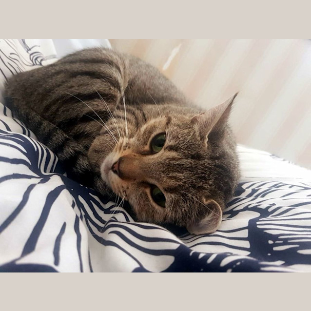 Photo of Lucy Sua012308