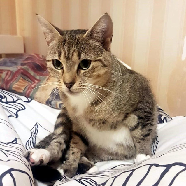 Photo of Lucy Sua012308