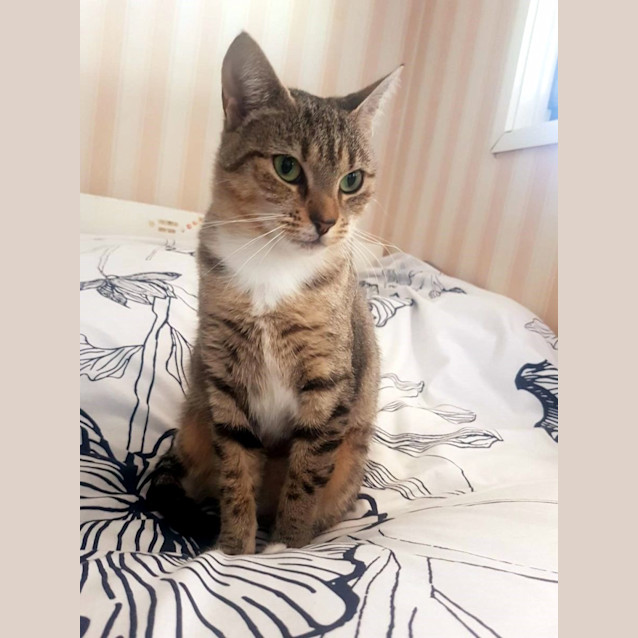 Photo of Lucy Sua012308