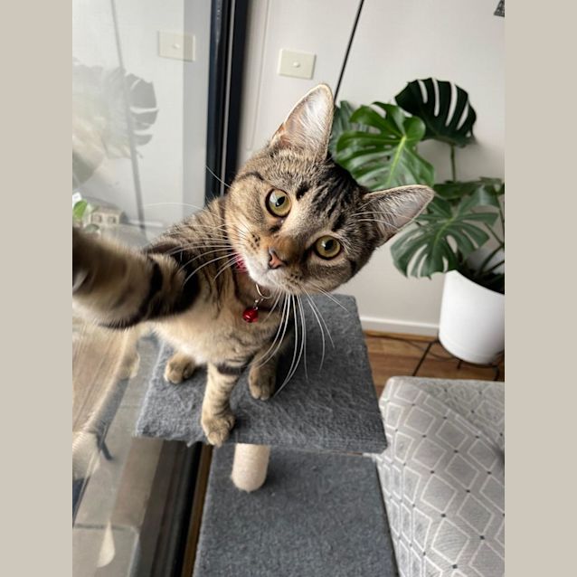 Photo of Pixie And Pretzel