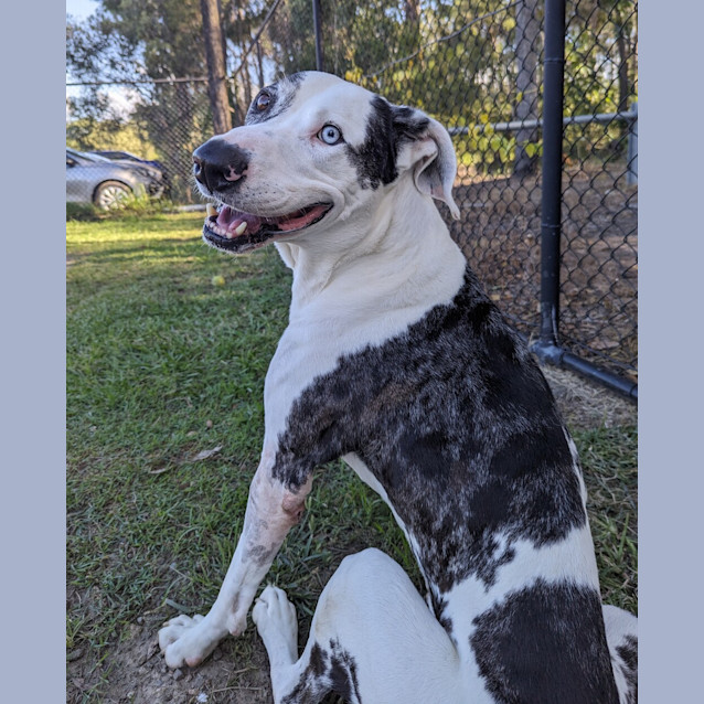 Photo of Mack