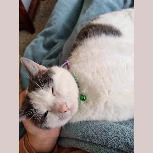 Photo of Murphy 😎🌈 