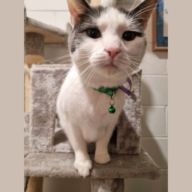 Photo of Murphy 😎🌈 