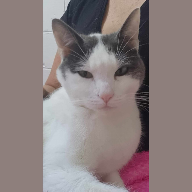 Photo of Murphy 😎🌈 