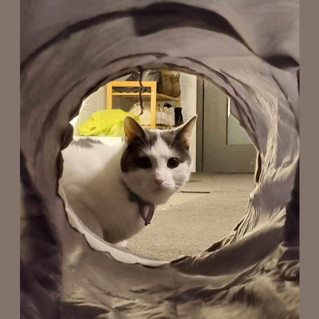 Photo of Murphy 😎🌈 