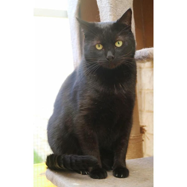 Photo of 6202   Salem