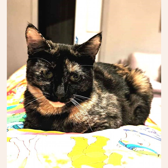Photo of Imogen   Located In Westmeadows