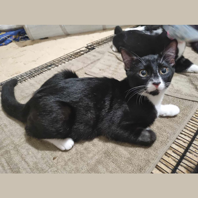 Photo of Rupert & Oz