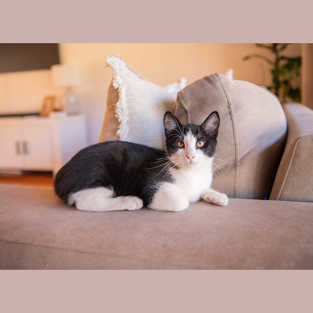 Photo of Rodney