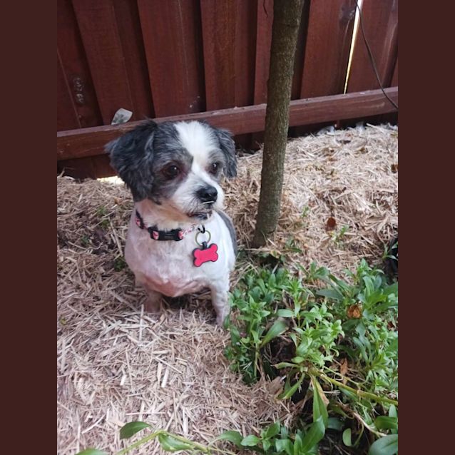 Photo of Georgia May