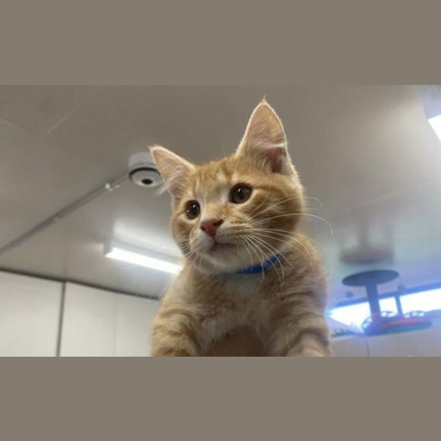 Photo of Waldo