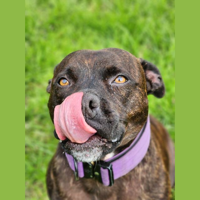 Photo of 👾 Colin 5133 👾