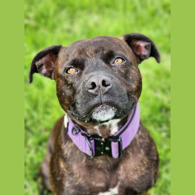 Photo of 👾 Colin 5133 👾